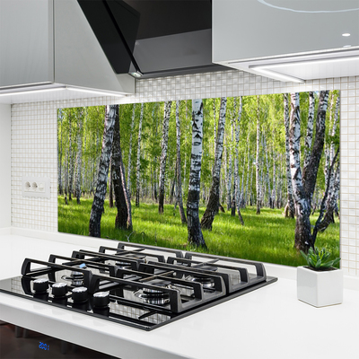 Painel cozinha Árvores da Floresta Natureza