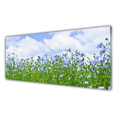 Painel cozinha Flores Planta Natureza