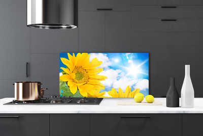 Painel cozinha Flores Planta Natureza