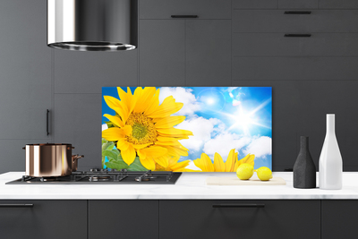 Painel cozinha Flores Planta Natureza