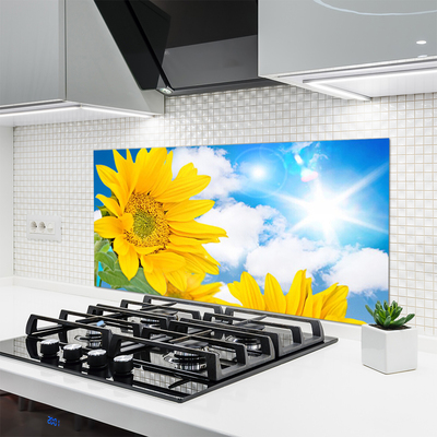 Painel cozinha Flores Planta Natureza