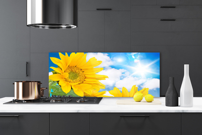 Painel cozinha Flores Planta Natureza