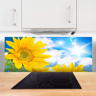 Painel cozinha Flores Planta Natureza