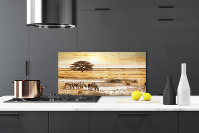 Painel vidro cozinha Paisagem de safári de zebra
