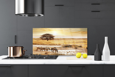 Painel vidro cozinha Paisagem de safári de zebra
