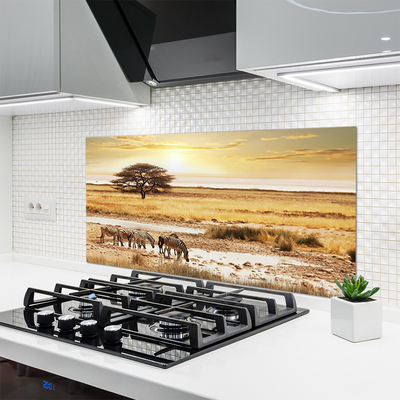 Painel vidro cozinha Paisagem de safári de zebra