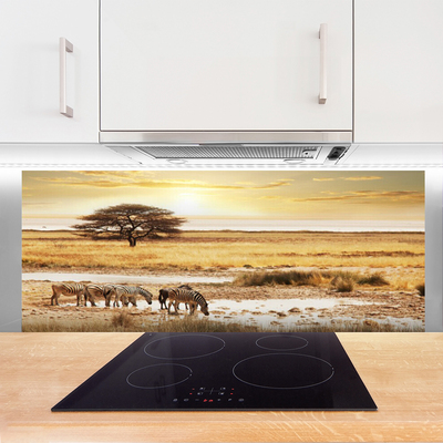 Painel vidro cozinha Paisagem de safári de zebra