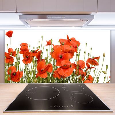 Painel cozinha Papoulas Plantam Natureza