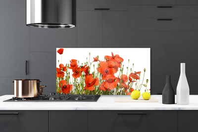 Painel cozinha Papoulas Plantam Natureza