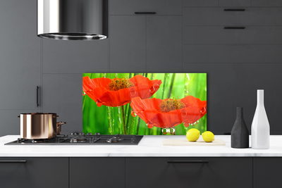 Painel vidro cozinha Papoulas Plantam Natureza