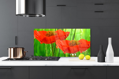 Painel vidro cozinha Papoulas Plantam Natureza