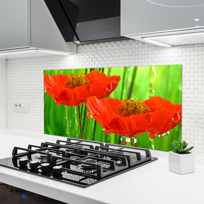 Painel vidro cozinha Papoulas Plantam Natureza