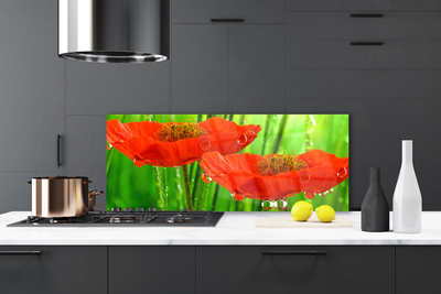 Painel vidro cozinha Papoulas Plantam Natureza