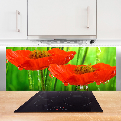 Painel vidro cozinha Papoulas Plantam Natureza