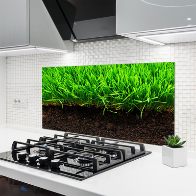 Painel cozinha Grama Natureza Planta