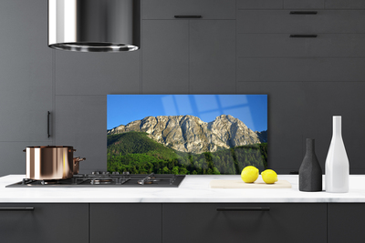 Painel cozinha Natureza da Floresta da Montanha