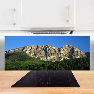 Painel cozinha Natureza da Floresta da Montanha