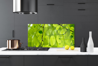 Painel cozinha Folhas Natureza Planta