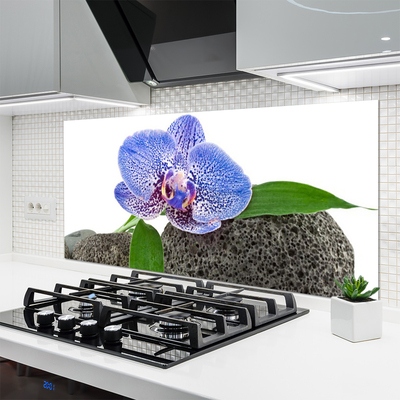 Painel cozinha Flor Planta Natureza