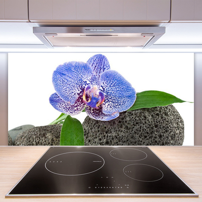 Painel cozinha Flor Planta Natureza