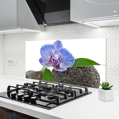 Painel cozinha Flor Planta Natureza
