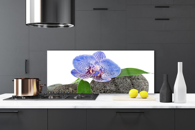 Painel cozinha Flor Planta Natureza