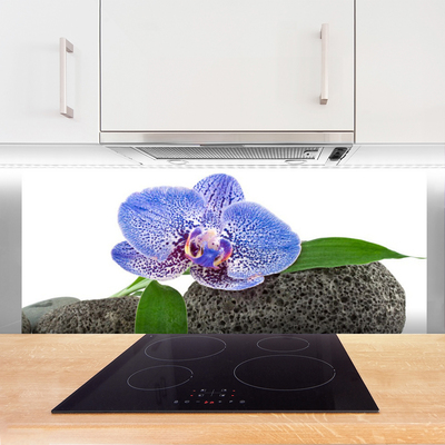 Painel cozinha Flor Planta Natureza