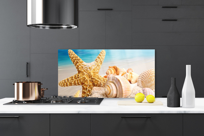 Painel cozinha Arte em conchas de estrelas do mar