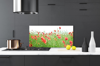Painel vidro cozinha Papoulas Plantam Natureza