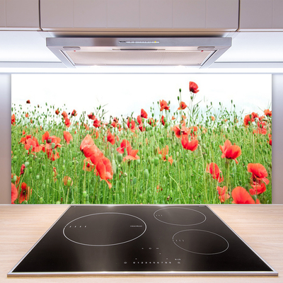 Painel vidro cozinha Papoulas Plantam Natureza