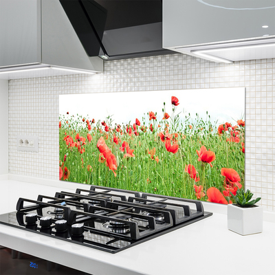 Painel vidro cozinha Papoulas Plantam Natureza