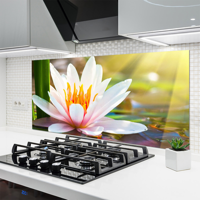 Painel cozinha Flores Planta Natureza