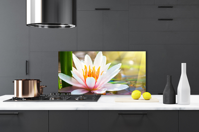 Painel cozinha Flores Planta Natureza