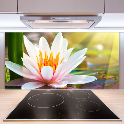 Painel cozinha Flores Planta Natureza