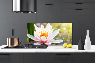 Painel cozinha Flores Planta Natureza