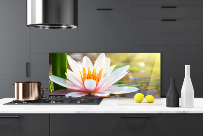 Painel cozinha Flores Planta Natureza