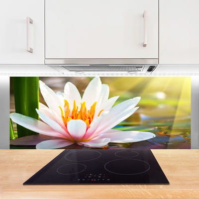 Painel cozinha Flores Planta Natureza