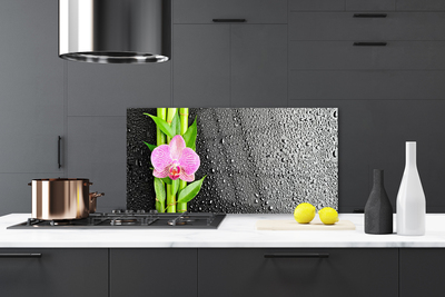 Painel vidro cozinha Planta de flor de caule de bambu