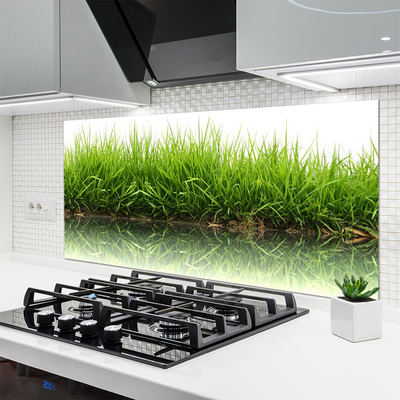 Painel vidro cozinha Grama Natureza Planta