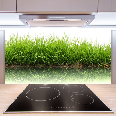 Painel vidro cozinha Grama Natureza Planta