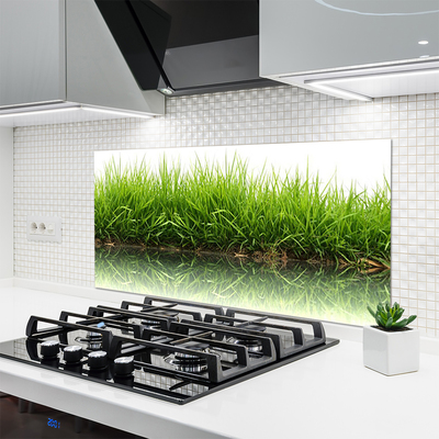 Painel vidro cozinha Grama Natureza Planta