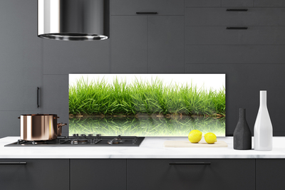 Painel vidro cozinha Grama Natureza Planta