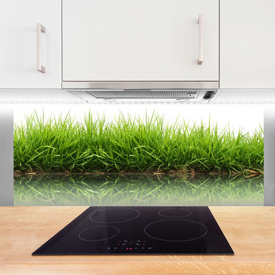 Painel vidro cozinha Grama Natureza Planta