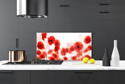 Painel vidro cozinha Papoulas Plantam Natureza