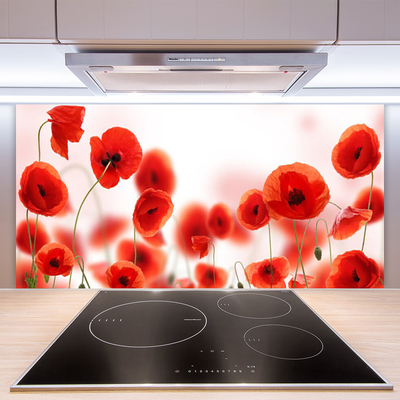 Painel vidro cozinha Papoulas Plantam Natureza