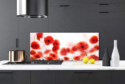 Painel vidro cozinha Papoulas Plantam Natureza
