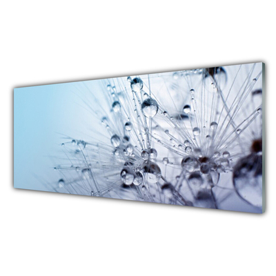 Painel cozinha Planta dente-de-leão