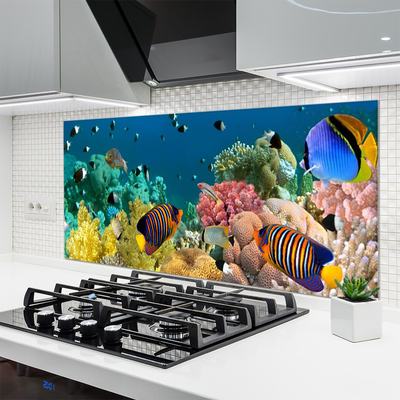 Painel cozinha Natureza dos recifes de corais