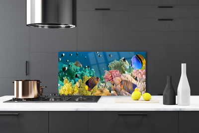Painel cozinha Natureza dos recifes de corais