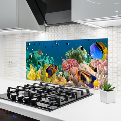 Painel cozinha Natureza dos recifes de corais
